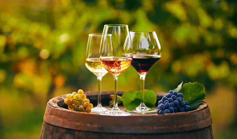 V.Suárez carries the broadest selection of wines